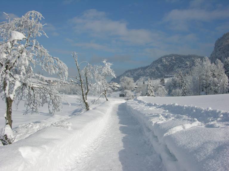 foto4