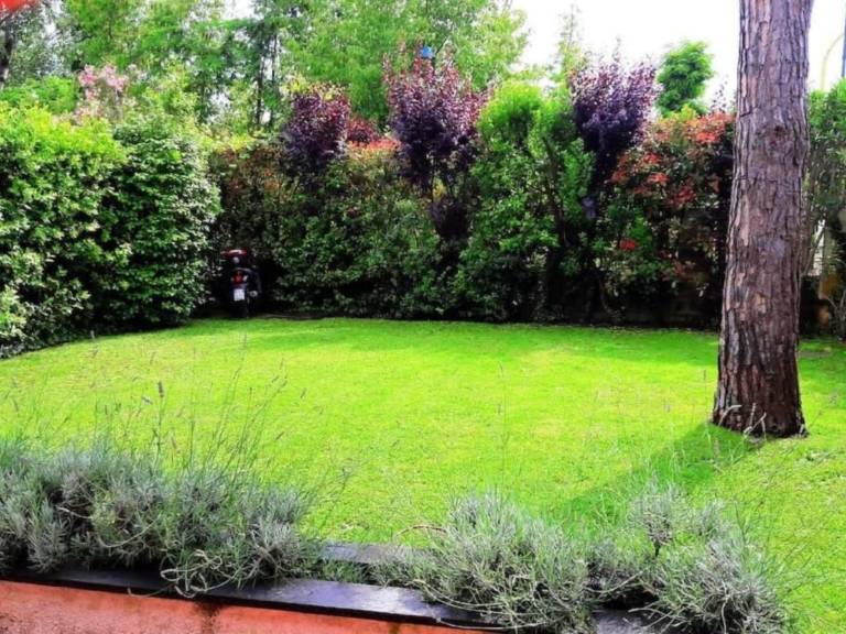 House with yard, patio & barbecue — photo 2