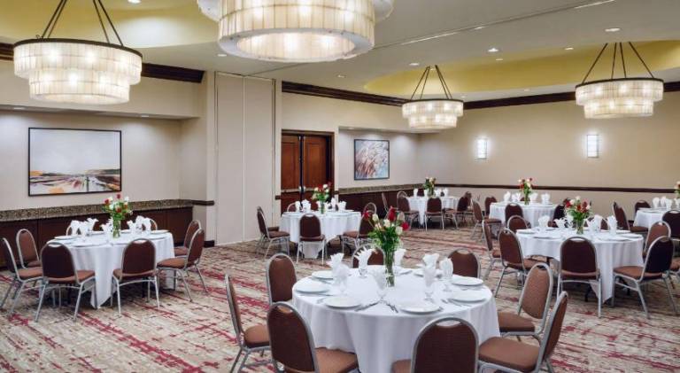 Hilton Garden Inn El Paso Airport — photo 4