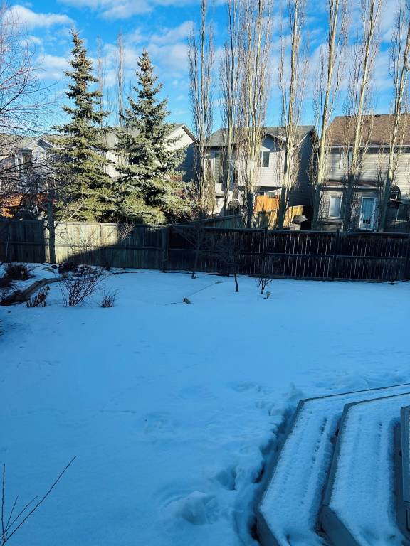 House Cougar Ridge