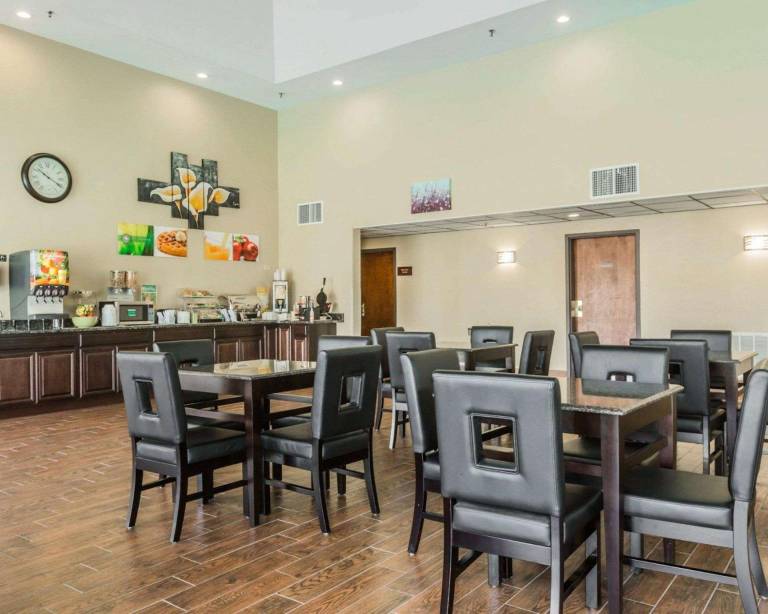 Quality Inn & Suites North Montgomery — photo 5