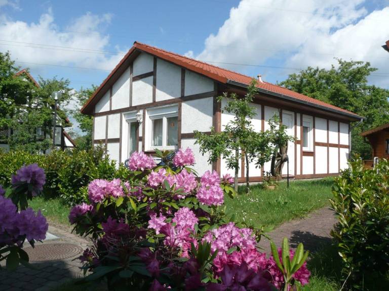 foto16