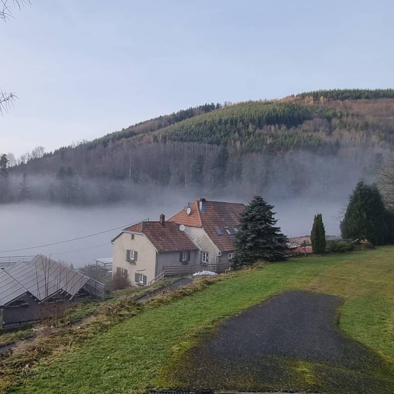 Ferienhaus Natzwiller