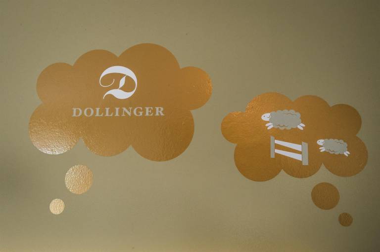 Hotel Dollinger — photo 3