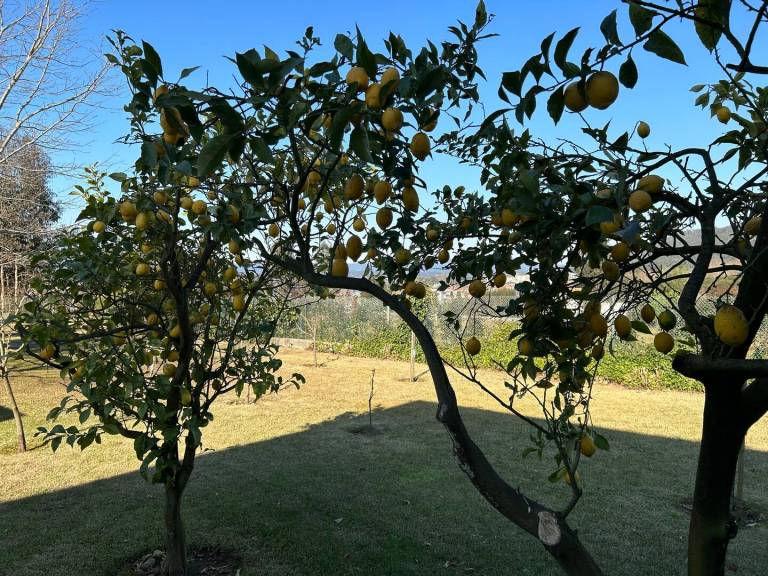 foto33