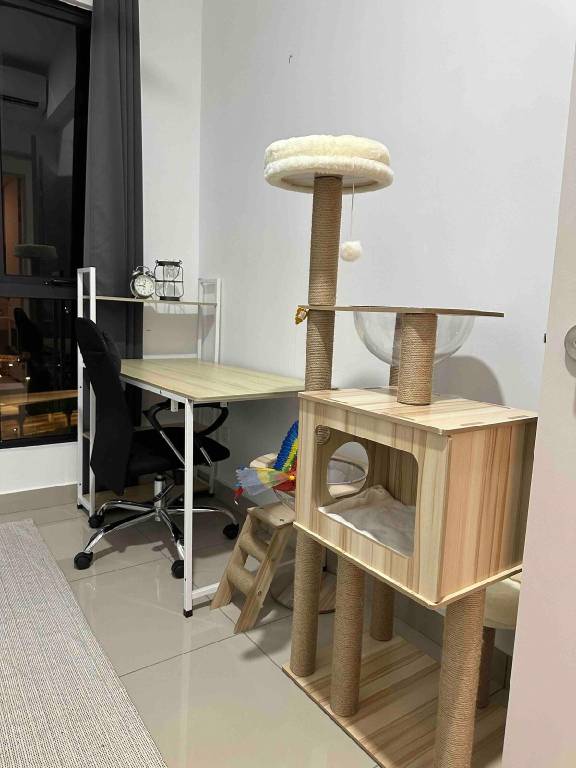 foto42