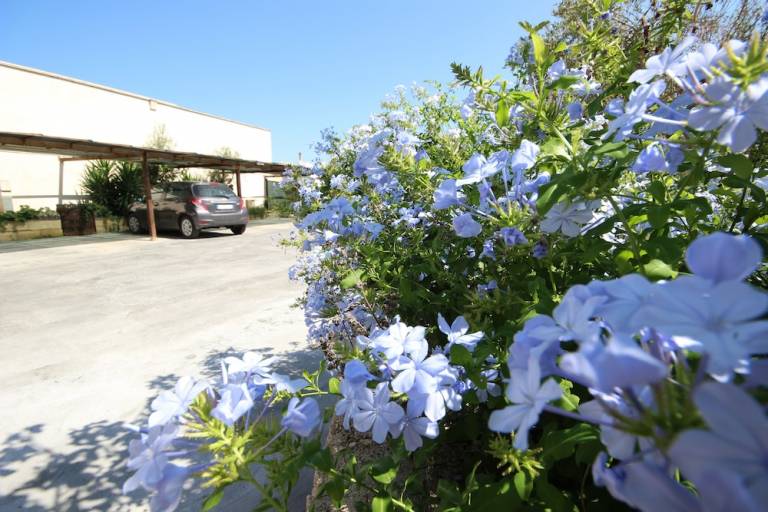 Bed & Breakfast Maldive del Salento