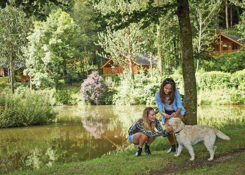 Ferienpark Alverdiscott