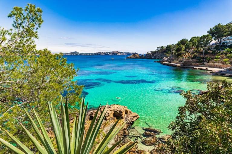 Ferienwohnung Santa Ponsa