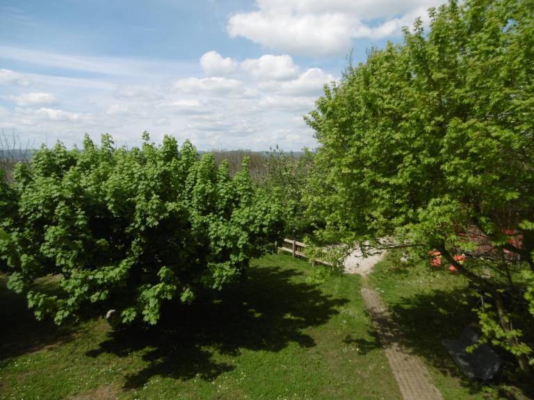 foto10