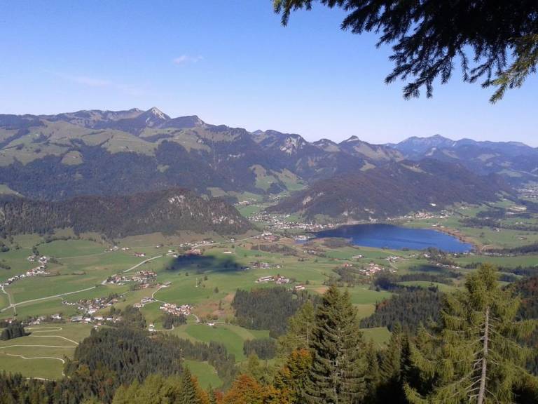 foto3