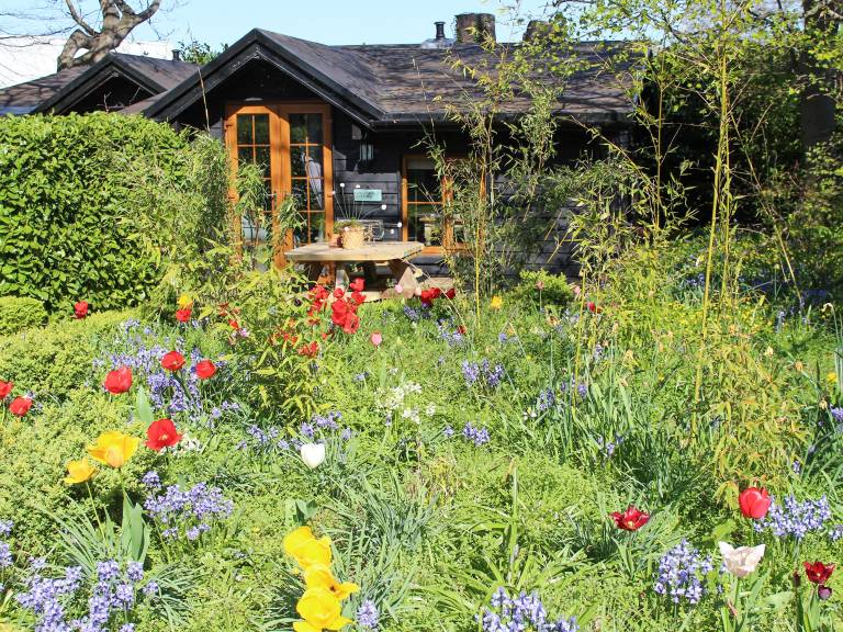 Bluebell Cottage 27635