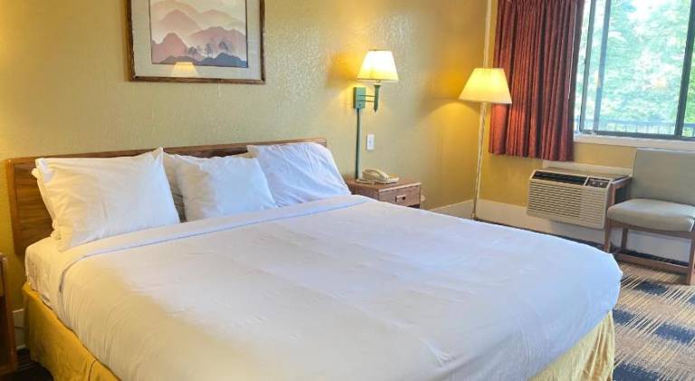 Smokies Inn - New Linens & Ultrafast WIFI - Friendliest Hospitality Guaranteed! — photo 2