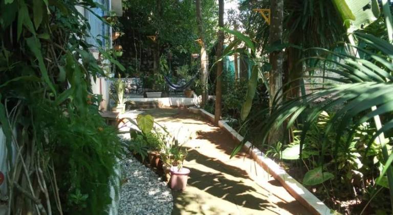 foto8