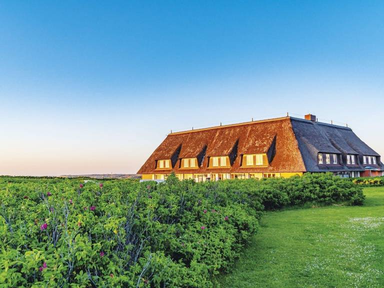 Ferienwohnung mit Hund in Kampen (Sylt) f&uuml;r max. 2 Personen