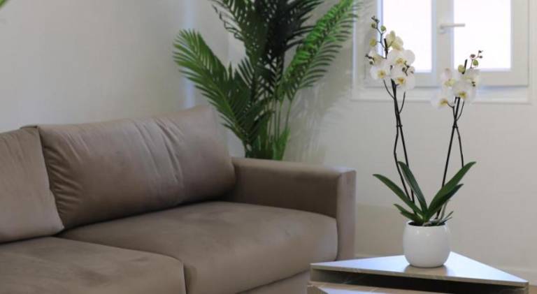 Rental apartment | Next to Castle Hill | Close to the beach | Pets are welcome in Thiers
