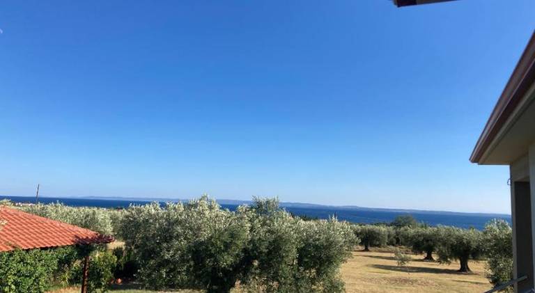 foto19