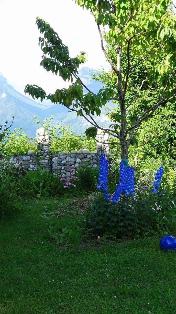 foto23