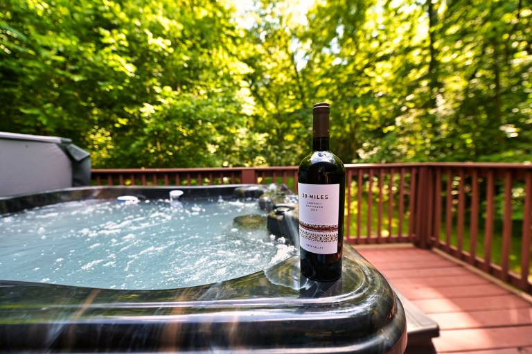 Smoky Mountains Honeymoon Cabin Dog Friendly — photo 4