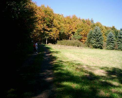 foto9