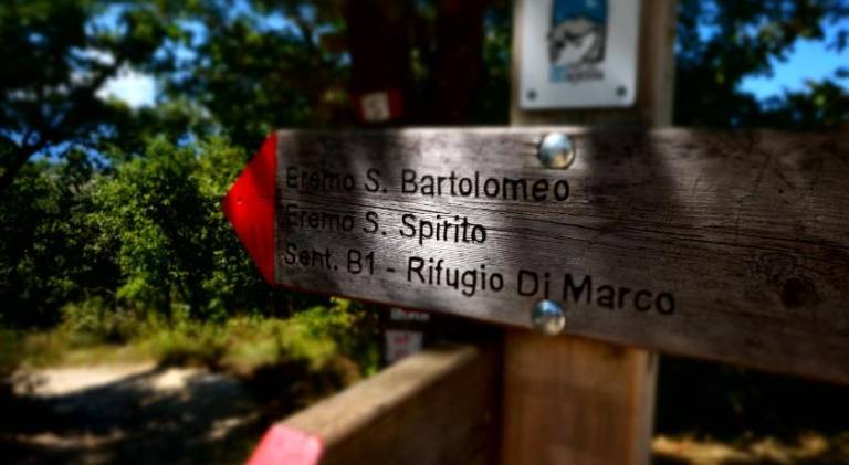 foto41