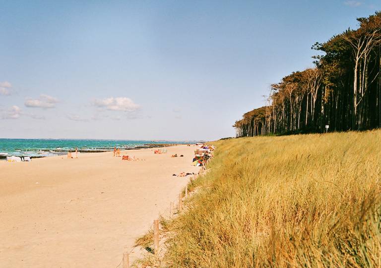 foto11