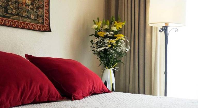 Serviced apartment with patio, pool & garden | Next to Popes' Palace in Avignon
