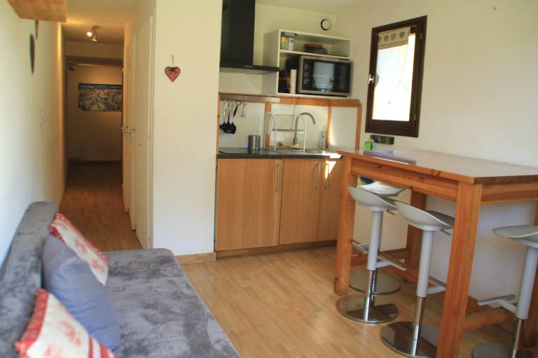 Studio flat  Châtel