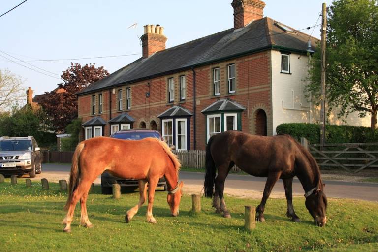 Cottage Brockenhurst