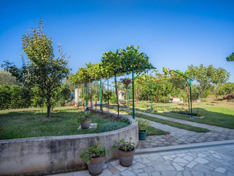 foto15