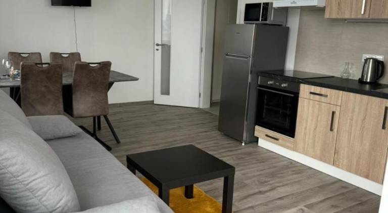 Rental apartment | Pets are welcome in Plzen