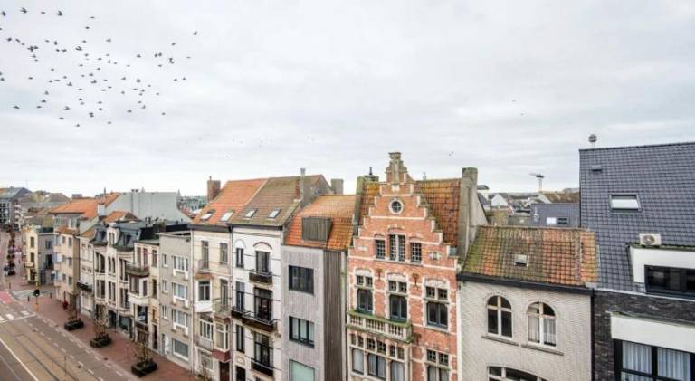 Bruges by the Beach — photo 3