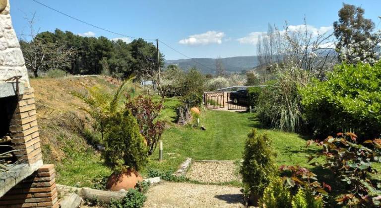 foto41