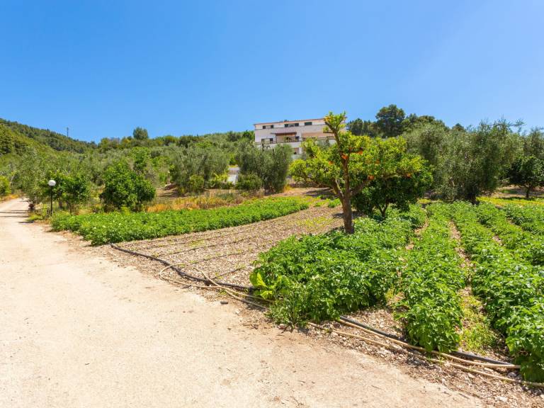 Apartment Peschici