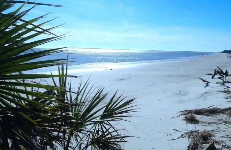 House Daufuskie Island