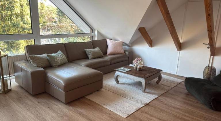Wonderful rental apartment | Dogs allowed in Lueneburg