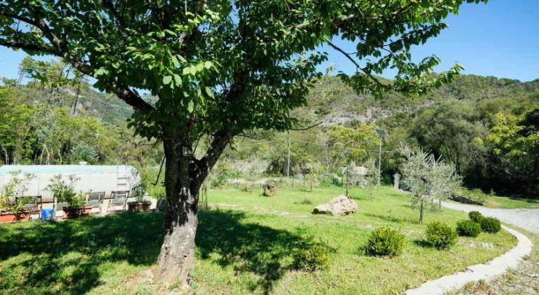 foto41