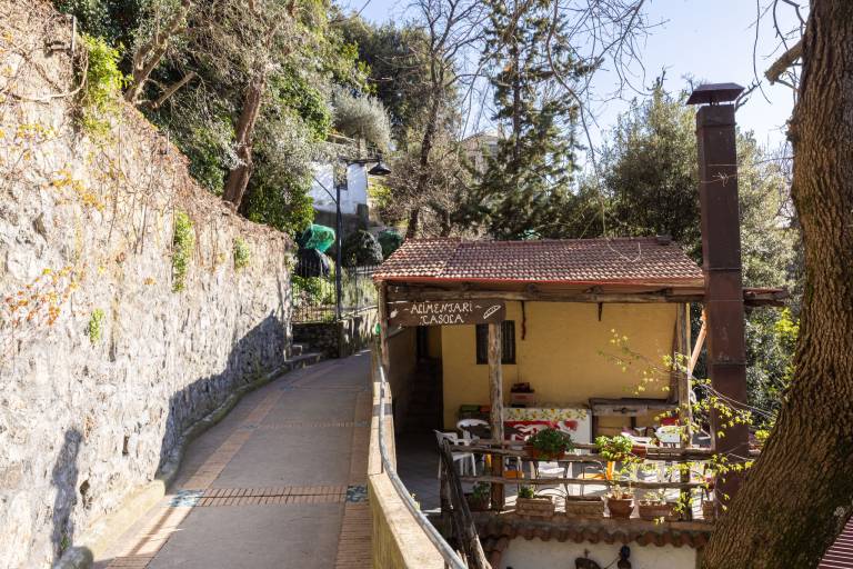 Apartman Nocelle