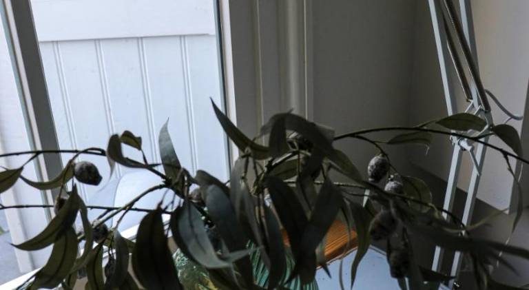 foto9