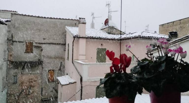 Appartamento Porta Est — photo 5