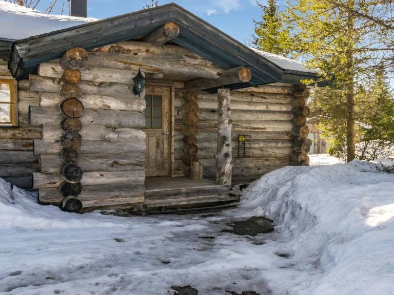 Vacation home with sauna — photo 2