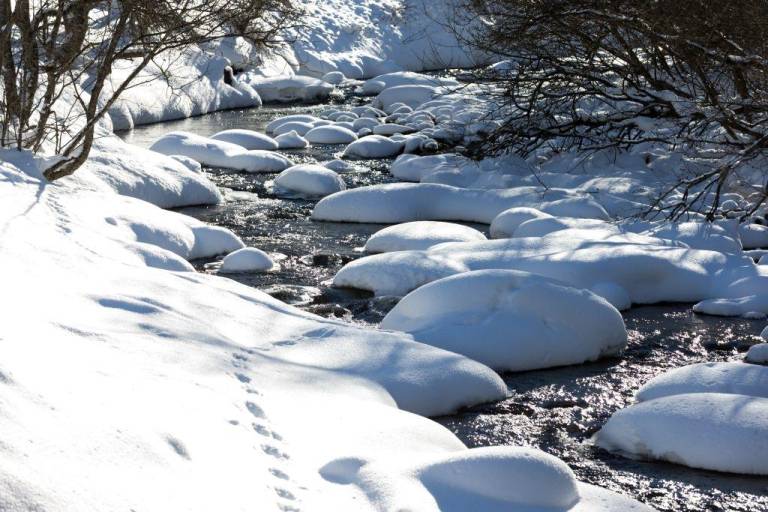 Ferienwohnung in Sankt Nikolai im Sölktal für max. 4 Gäste