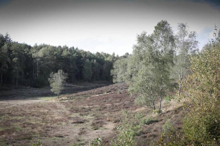 foto19