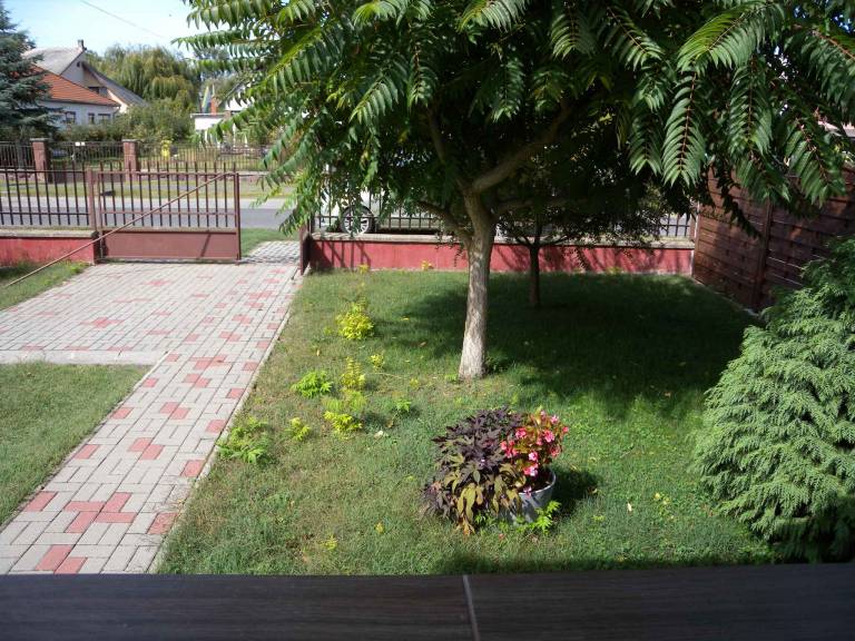 foto8