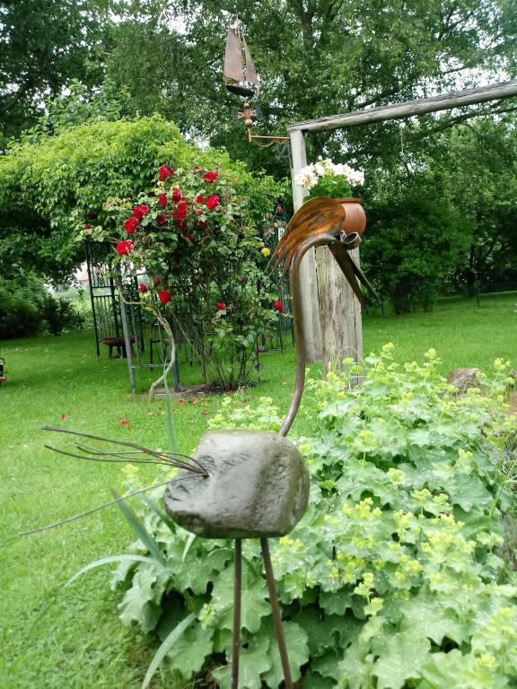 foto16
