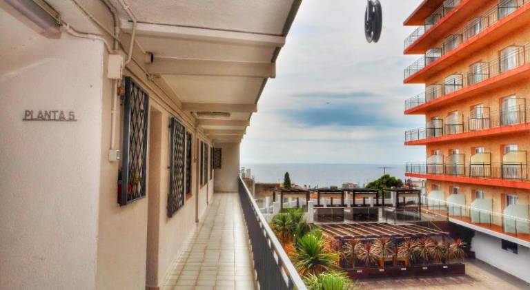 Fully equipped pleasant holiday apartment with patio | Close to the beach | Dogs allowed — photo 5