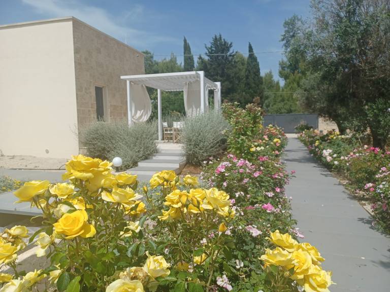Casa Olea for up to 4 guests, private terrace among olive trees and near the sea in Nardò