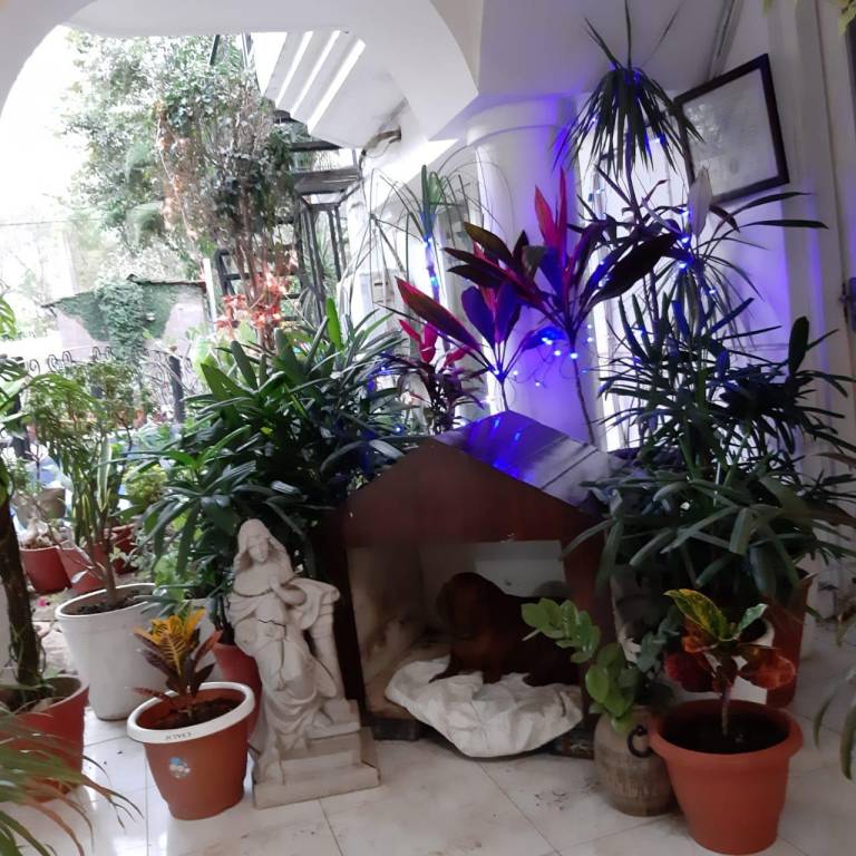 foto19
