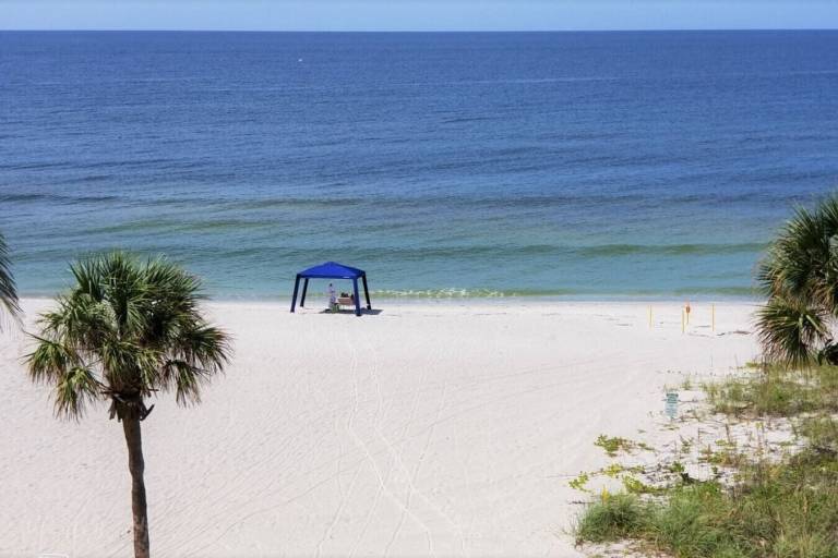 Apartment Longboat Key