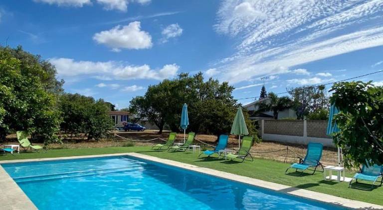 Farm with pool — photo 5